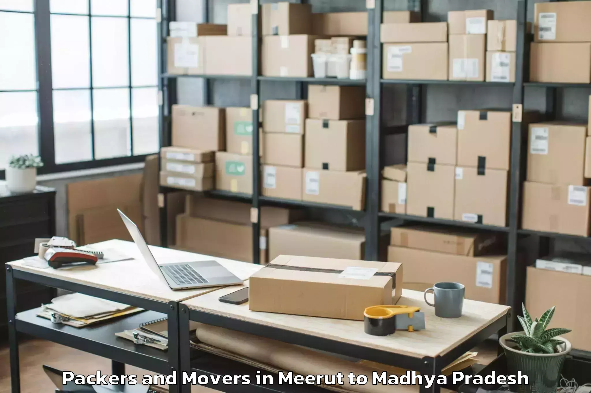 Affordable Meerut to Ashta Packers And Movers